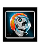 Blast Shields